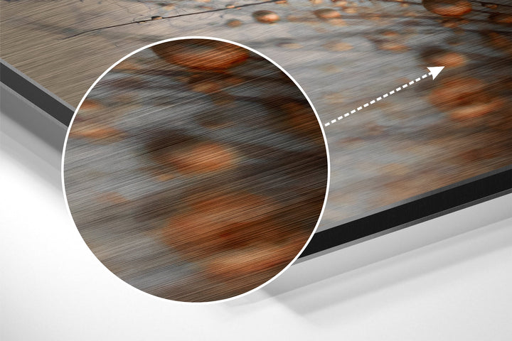 Dandelions Brushed Aluminium Dibond Wall Art.