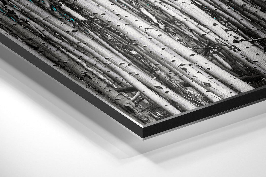 Forest Brushed Aluminium Dibond Wall Art.