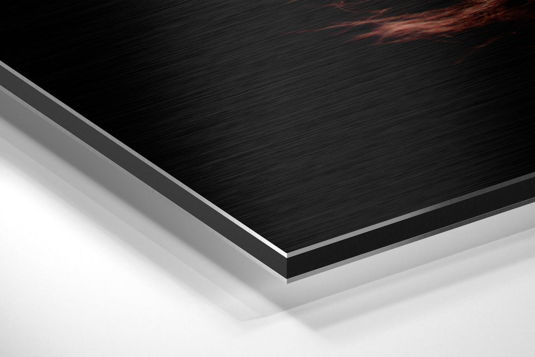 Feather Brushed Aluminium Dibond Wall Art.