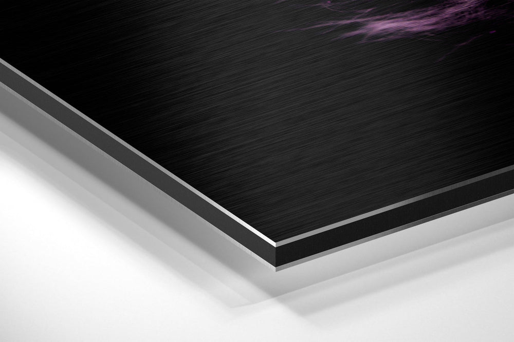 Feather Brushed Aluminium Dibond Wall Art.