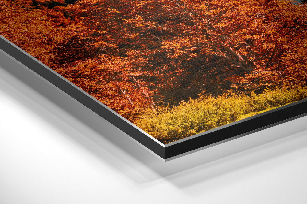 Lake View Brushed Aluminium Dibond Wall Art.