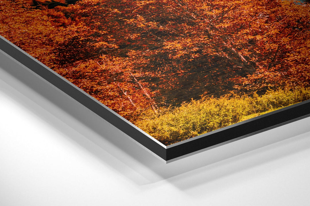 Lake View Brushed Aluminium Dibond Wall Art.