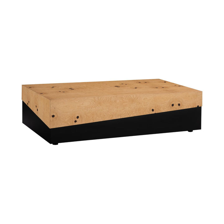 Burl Block Coffee Table, Light Wood and Black Base by Phillips Collection — centered product view