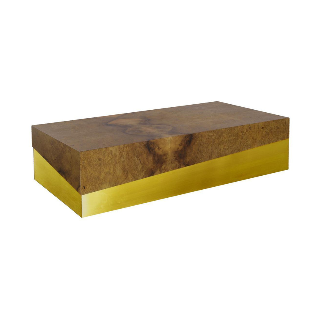Burl Block Coffee Table, Wood And Gold Finish by Phillips Collection — centered product view
