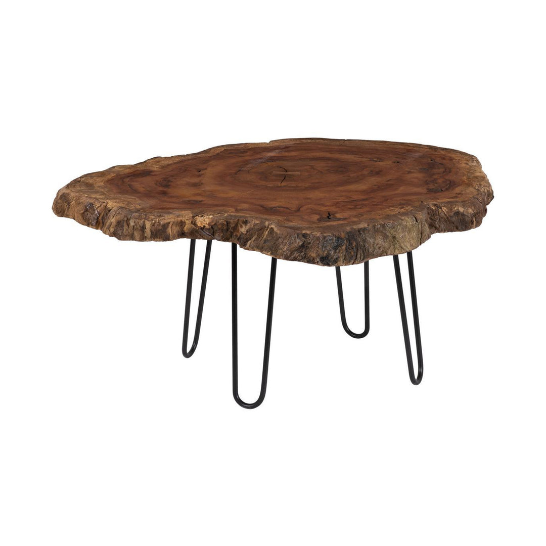 Burled Coffee Table, Black Metal Legs, Large by Phillips Collection — centered product view