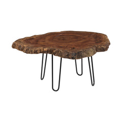 Burled Coffee Table, Black Metal Legs, Large by Phillips Collection — centered product view