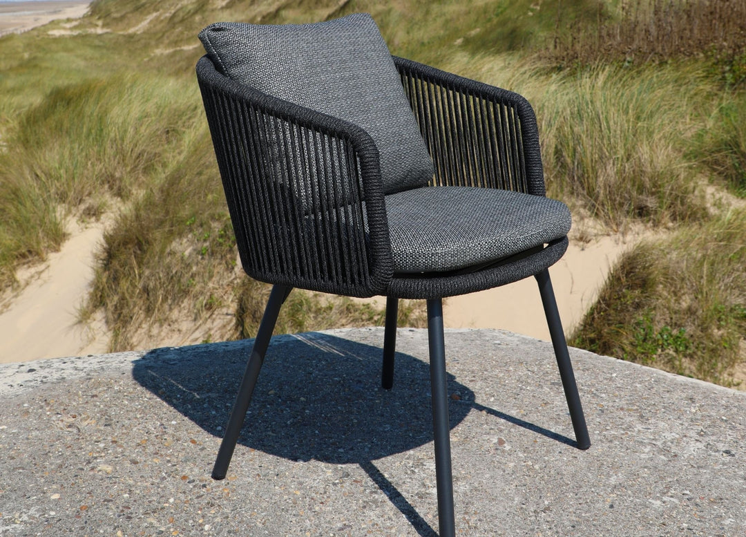 Harbour Dining Armchair by Whiteline Modern Living – lifestyle