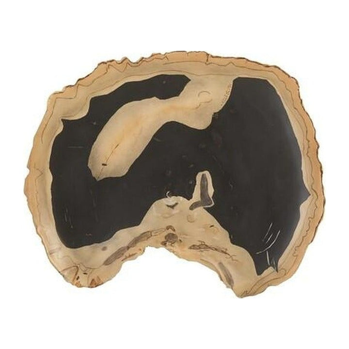 Cast Petrified Wood Wall Tile, Resin, Thin Phillips Collection
