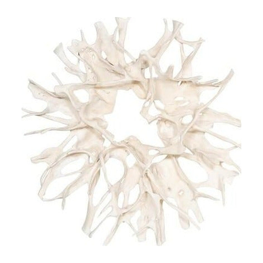 Cast Root Wall Decor Phillips Collection