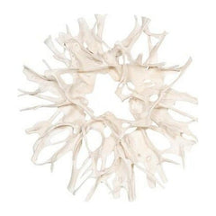 Cast Root Wall Decor Phillips Collection