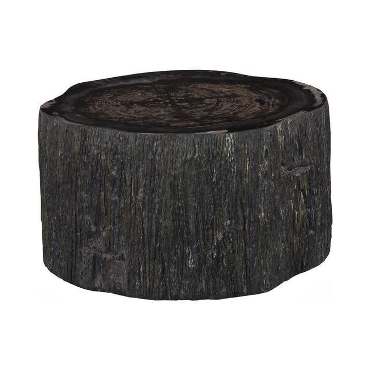 Chaka Petrified Coffee Table, Rough, Black, Small by Phillips Collection — centered product view