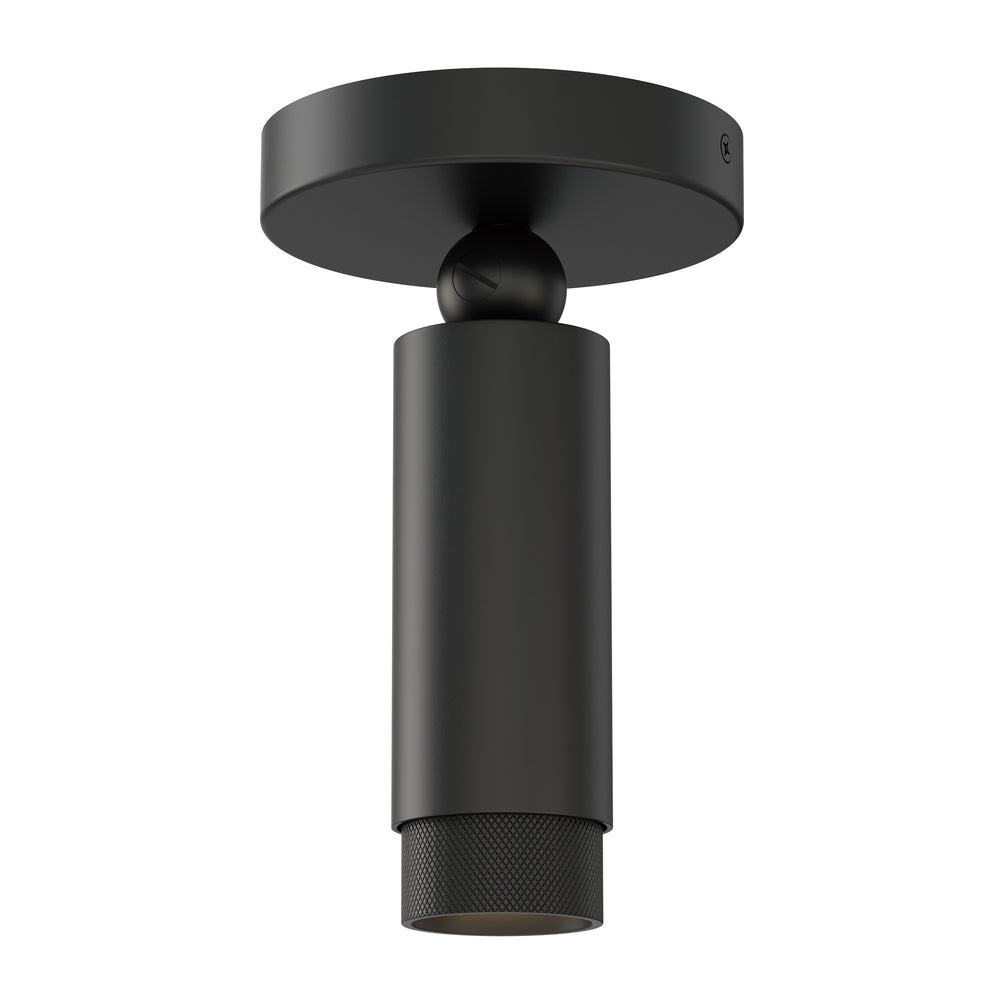 Cleo Adjustable Spot Light in Black