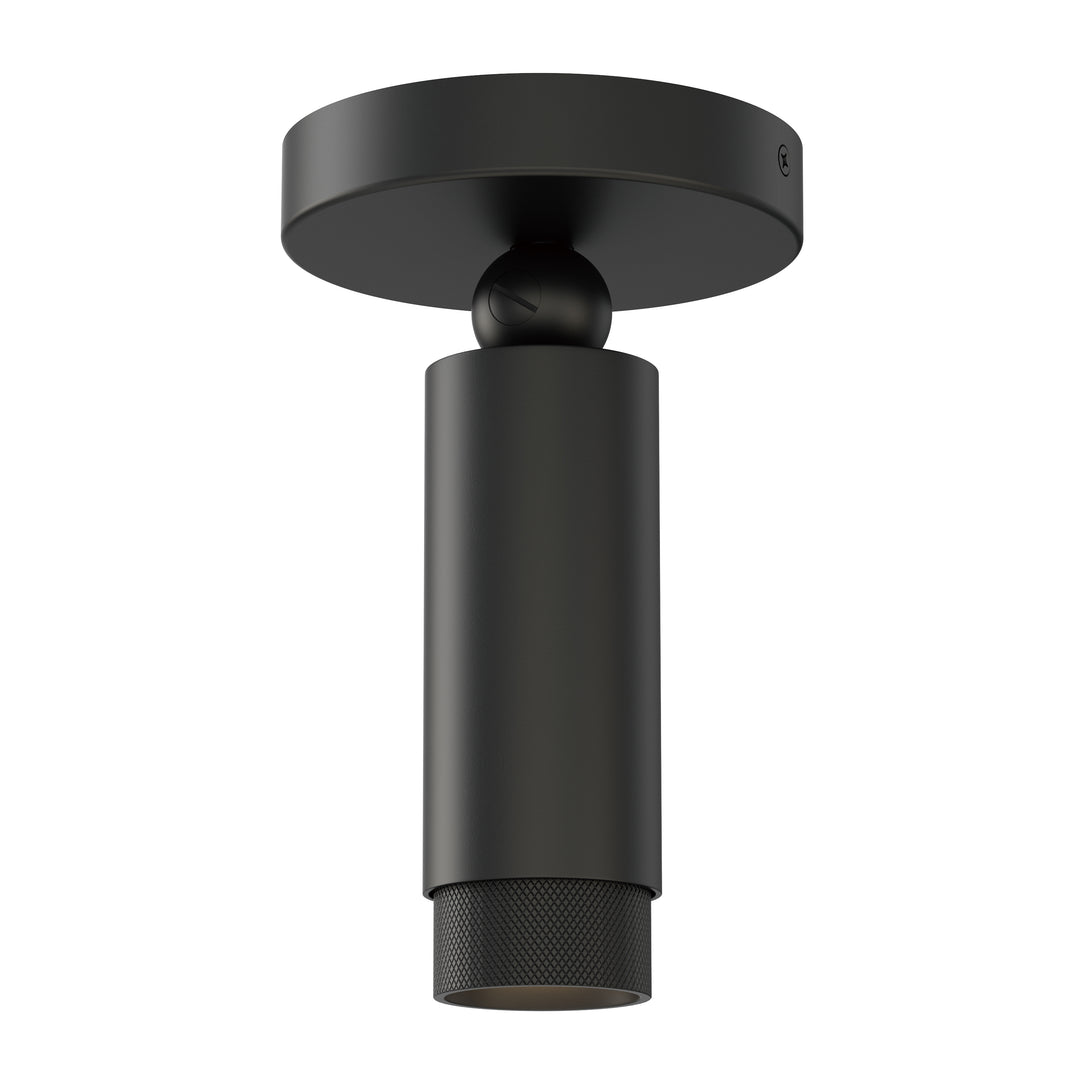Cleo Adjustable Spot Light in Black