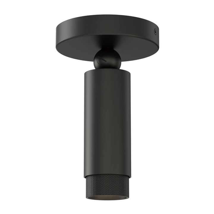 Cleo Adjustable Spot Light in Black
