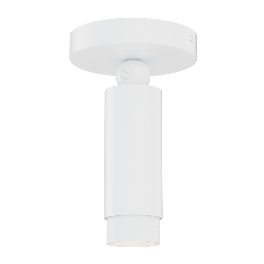Cleo Adjustable Spot Light in White