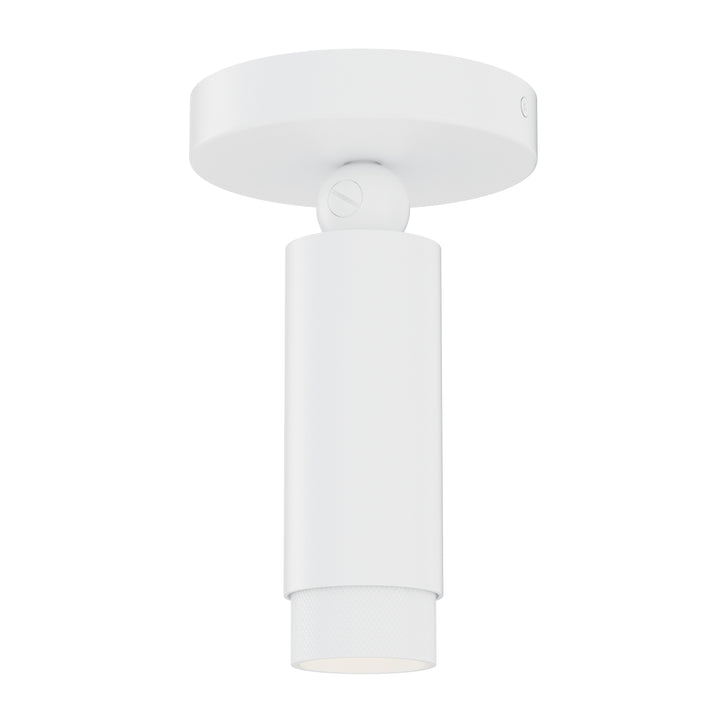 Cleo Adjustable Spot Light in White