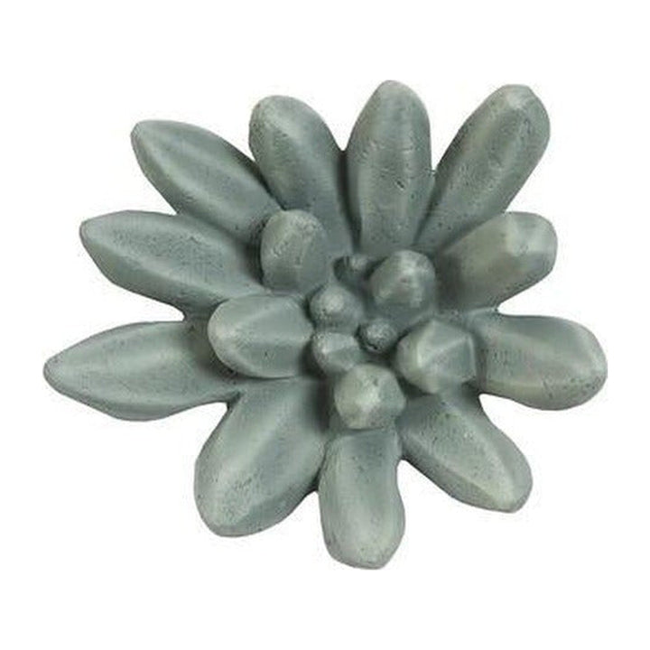 Compactum Succulent Wall Art, Forest Phillips Collection