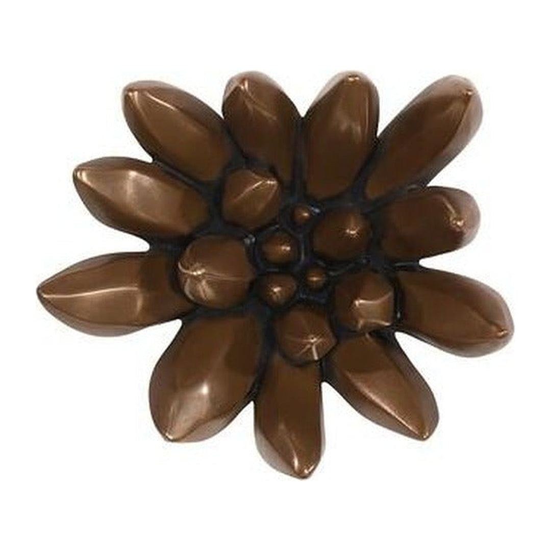 Compactum Succulent Wall Art Phillips Collection