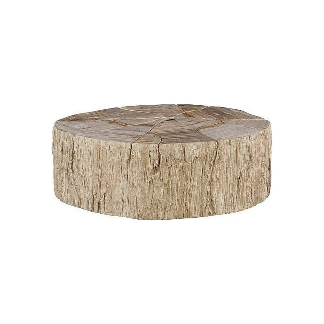 Converge Petrified Coffee Table Phillips Collection