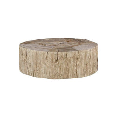 Converge Petrified Coffee Table Phillips Collection