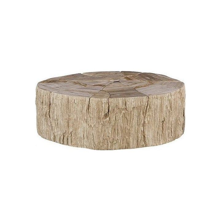 Converge Petrified Coffee Table Phillips Collection