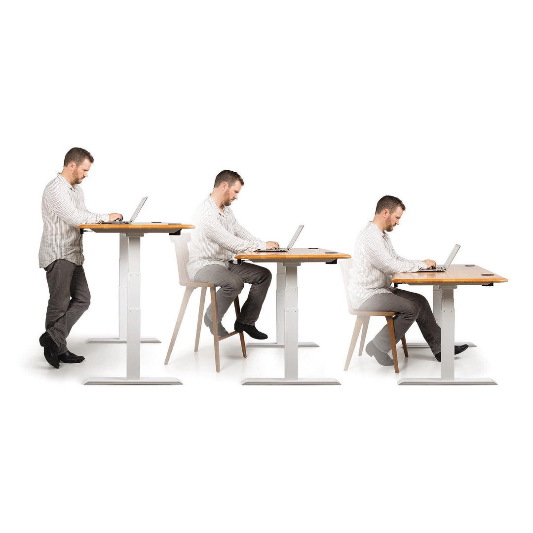 Invigo Sit-Stand Desk product view