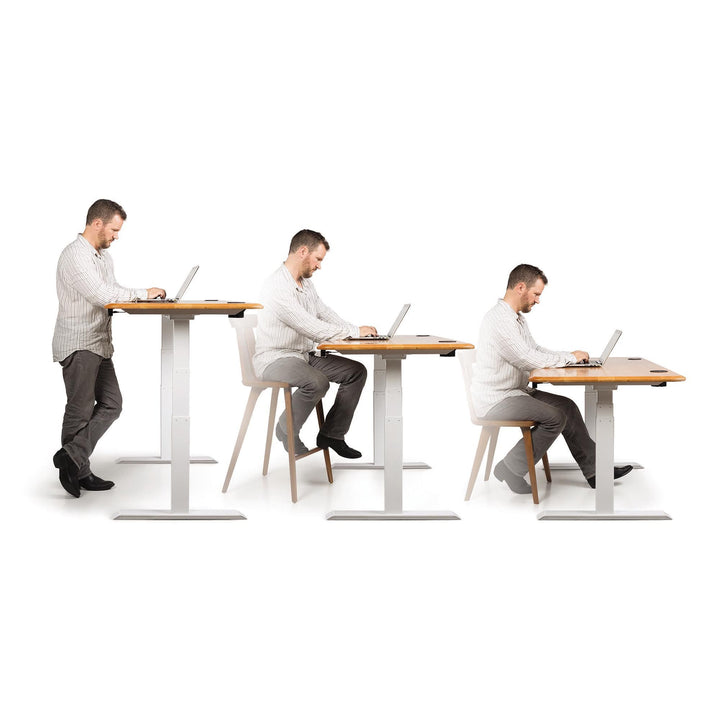 Invigo Sit-Stand Desk product view