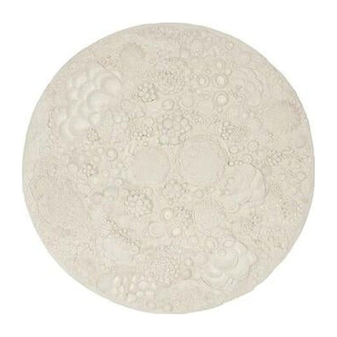 Coral Reef Wall Art, Painted Cream Color, Round, Phillips Collection