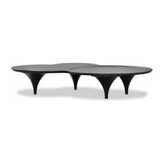 COUPE Coffee Table in Vintage Black Wash Veener Mobital