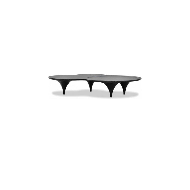 COUPE Coffee Table in Vintage Black Wash Veener by Mobital — centered product view