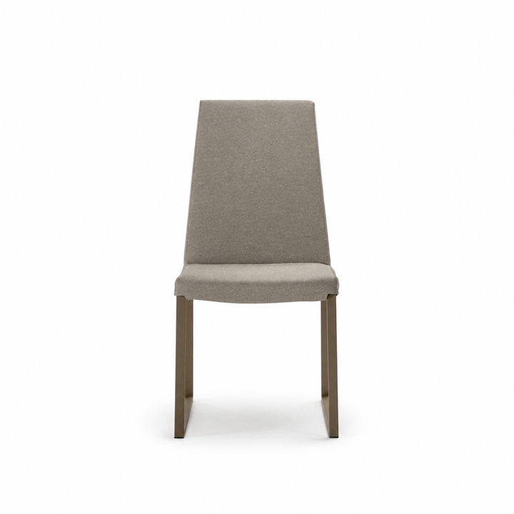Curvo Dining Chair centered on a white background