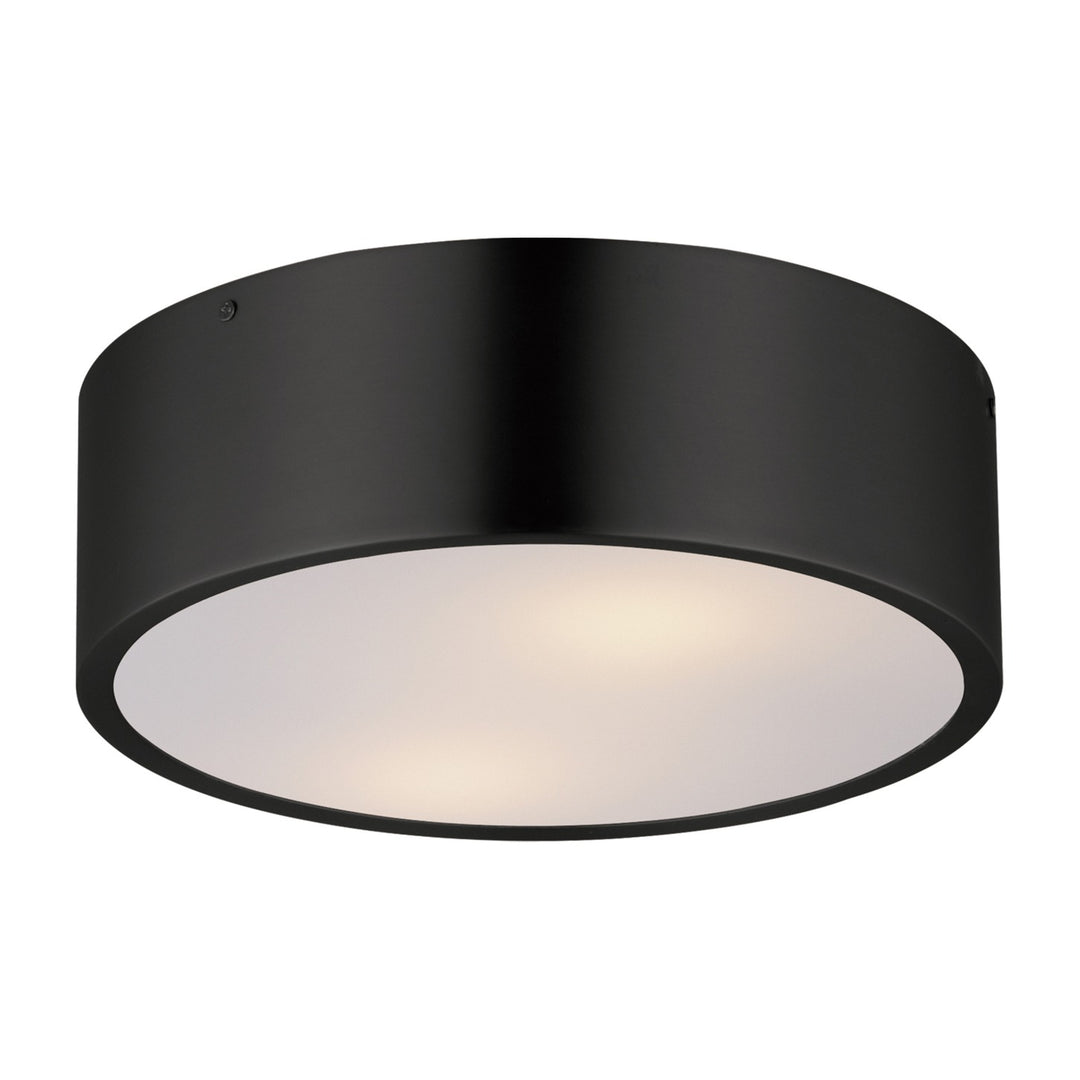 Tommy 12 2-Light Surface Mount by Studio M Lighting in Black