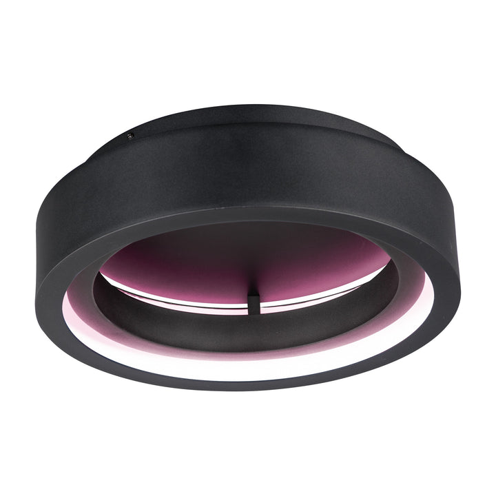 iCorona FoH ona 18 LED Surface Mount with Wiz RGBW by Studio M Lighting in Black