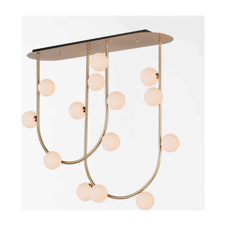 Contour 14-Light Fixed Stem Ceiling Light by Studio M Lighting
