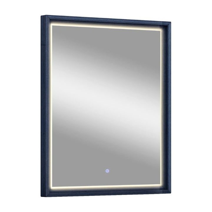 Alexander LED Mirror by Whiteline Modern Living