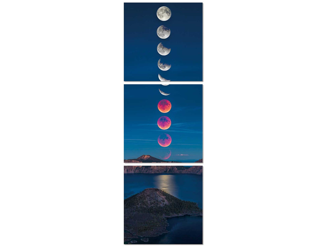 Eclipse Canva by Whiteline Modern Living – lifestyle