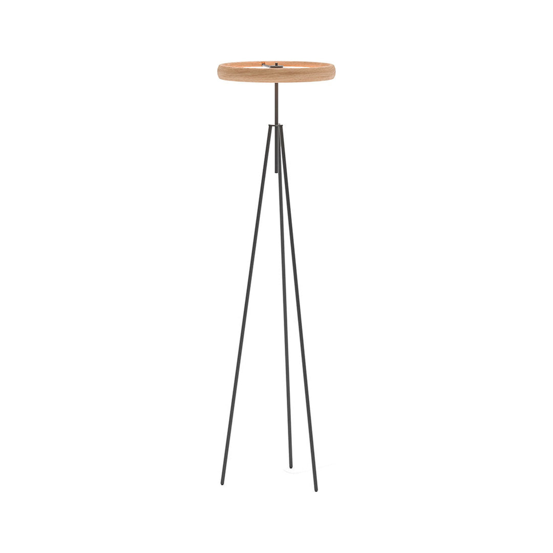 Discovery Floor Lamp — product (square fill)
