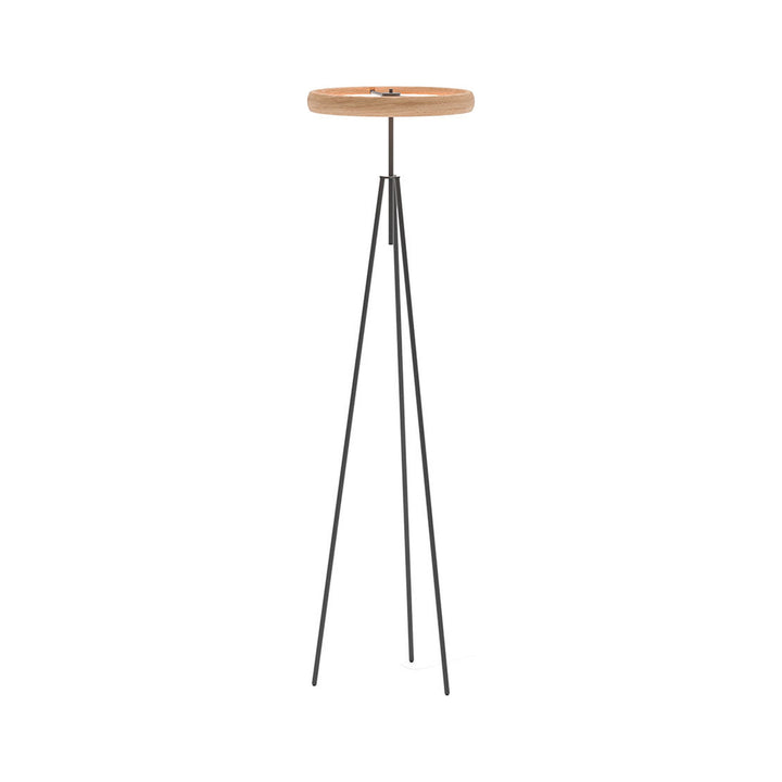 Discovery Floor Lamp — product (square fill)
