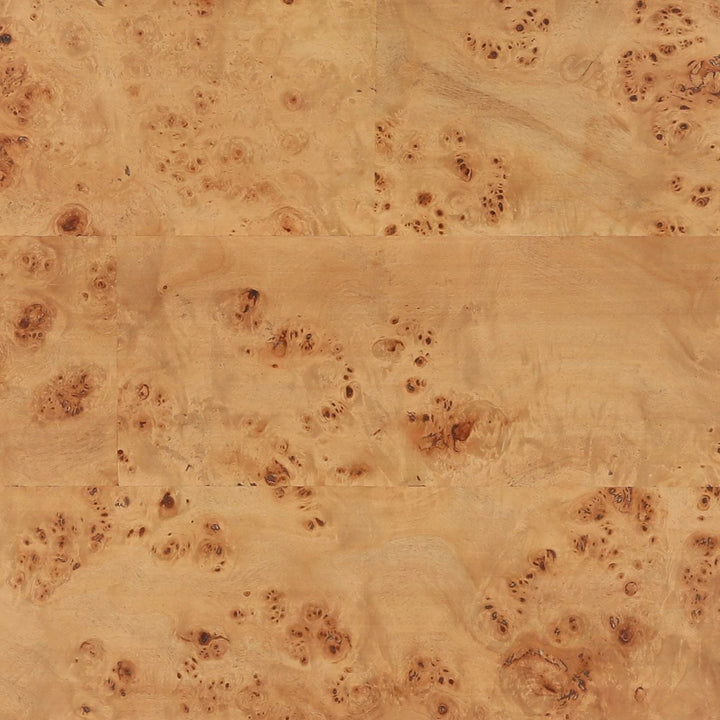 Finley Mappa Burl Coffee Table, detail 1 view