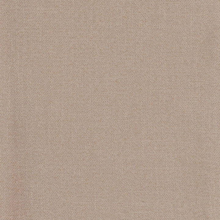 Reeve Beige Dining Chairs, Set of 2, detail 1 view