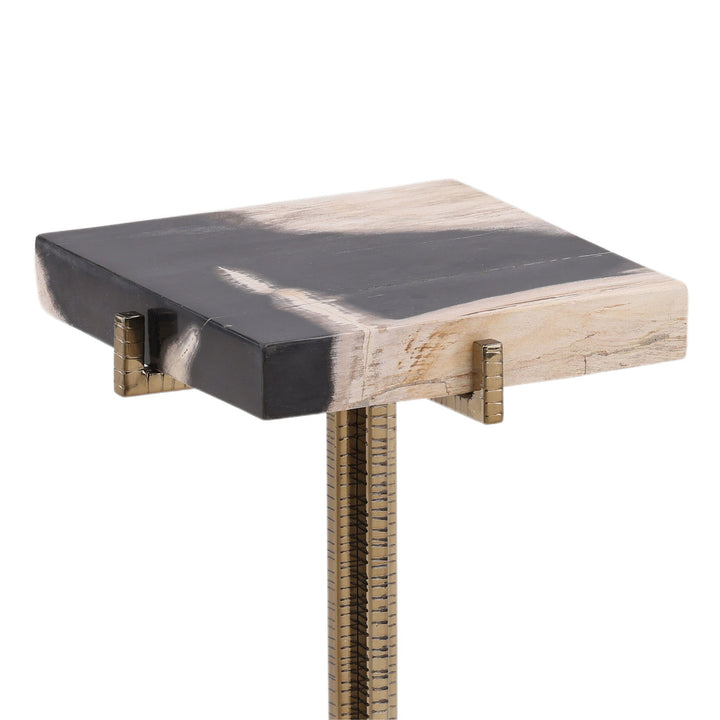 Lyra Petrified Wood Side Table, detail 1 view