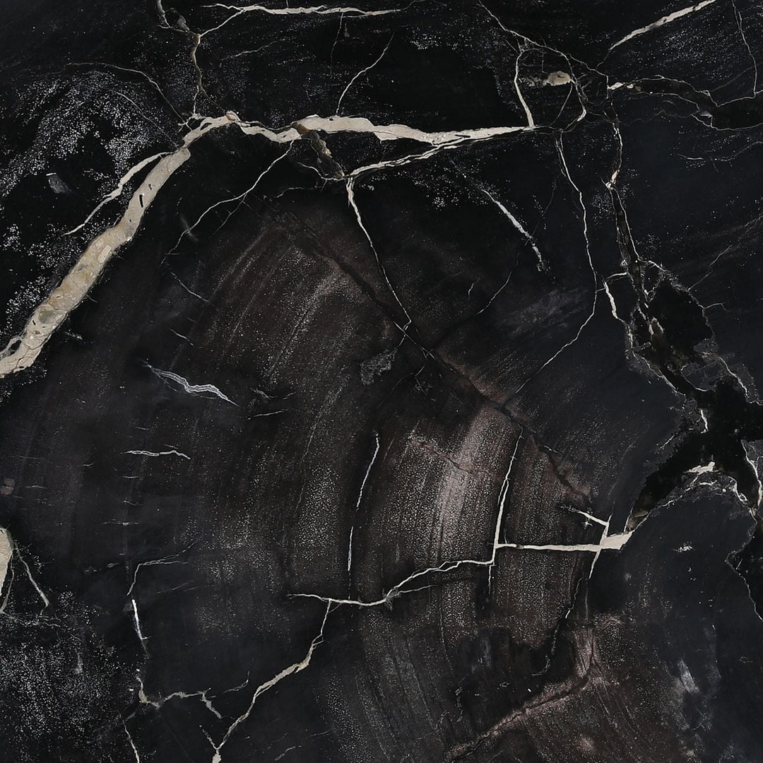 Darien Petrified Wood Coffee Table, Large, detail 1 view