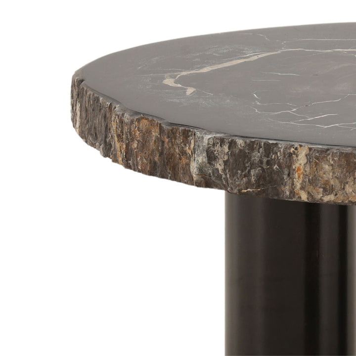 Darien Petrified Wood Coffee Table, Large, detail 2 view