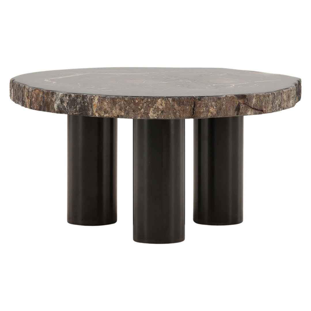 Darien Petrified Wood Coffee Table, Large, three-quarter studio view