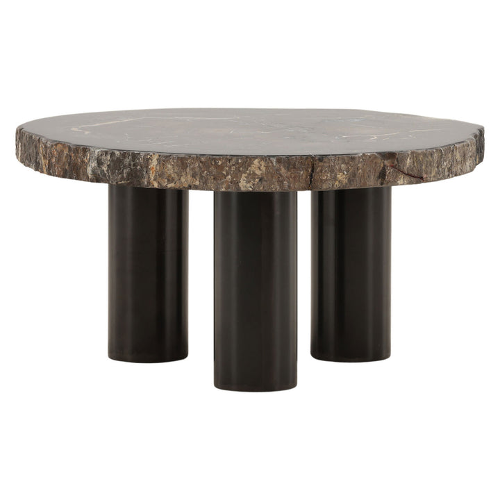 Darien Petrified Wood Coffee Table, Large, three-quarter studio view
