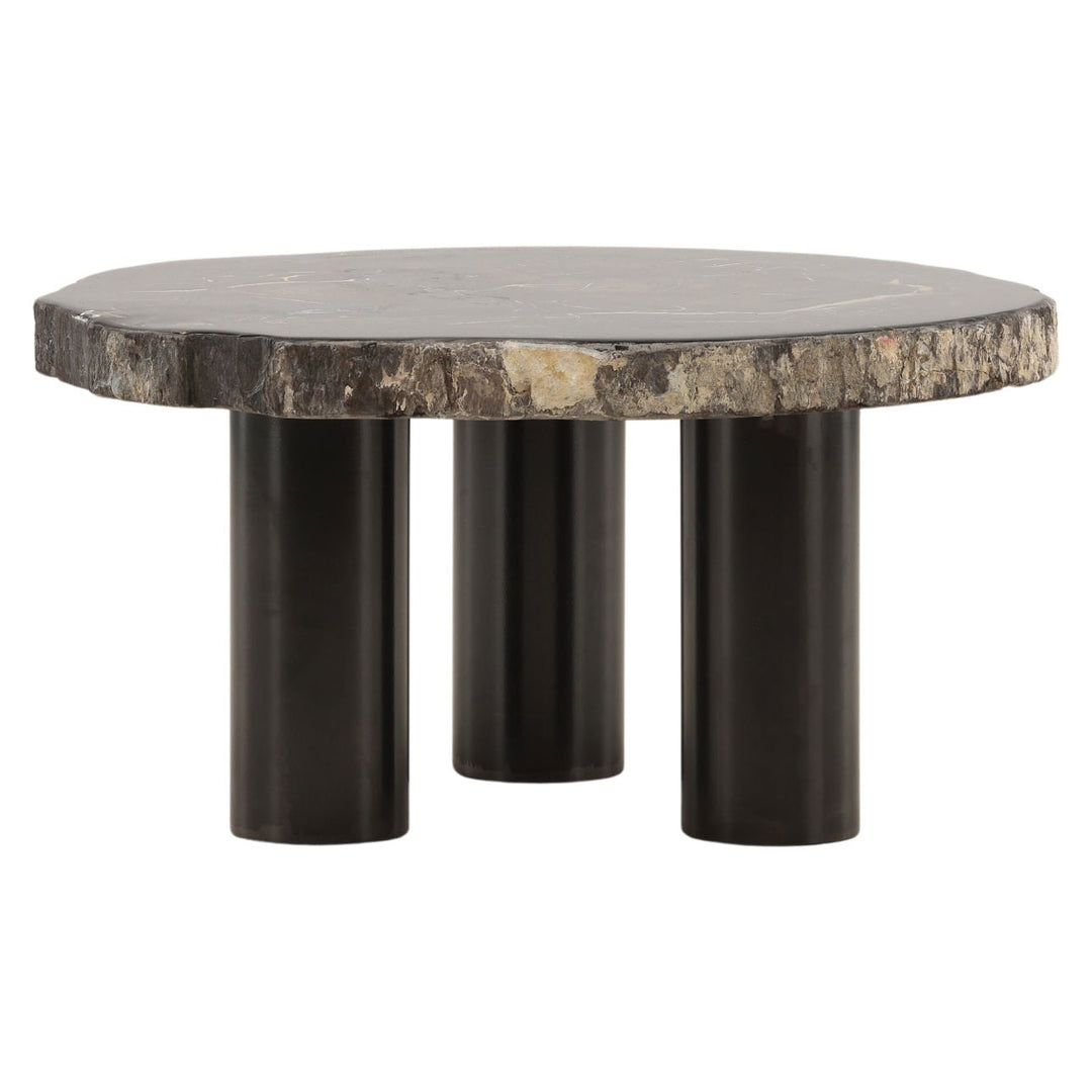 Darien Petrified Wood Coffee Table, Large, front view