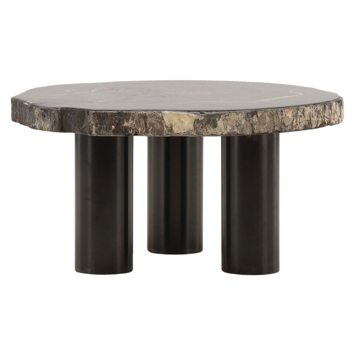 Darien Petrified Wood Coffee Table, Large, front view