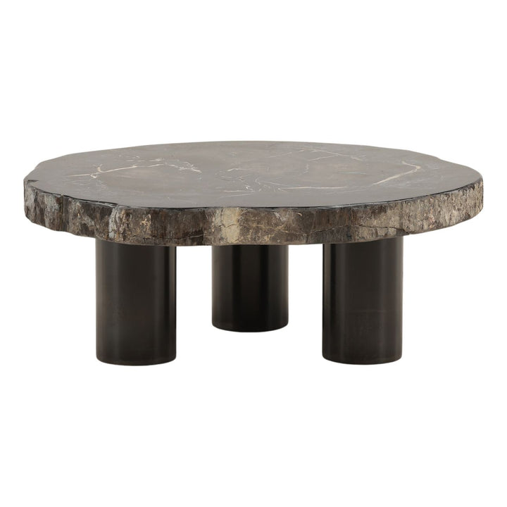 Darien Petrified Wood Coffee Table, Small, back view
