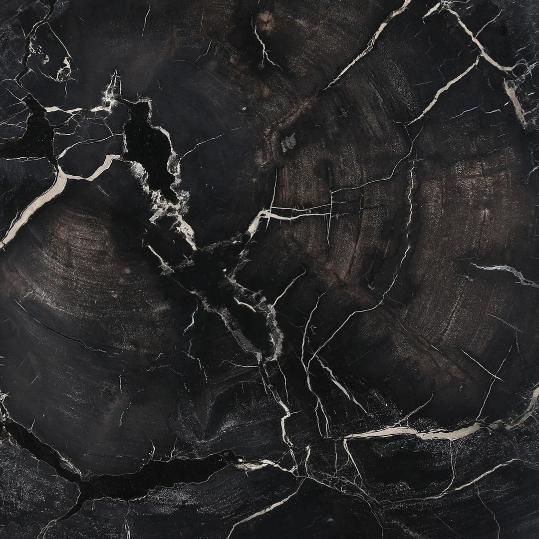 Darien Petrified Wood Coffee Table, Small, detail 1 view