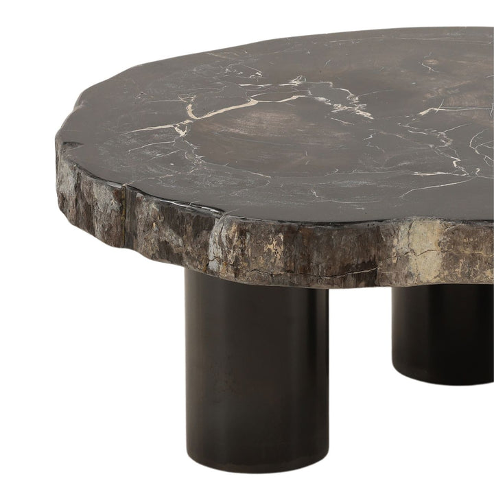 Darien Petrified Wood Coffee Table, Small, detail 2 view